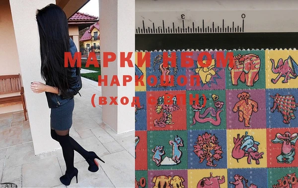 а пвп мука Нея