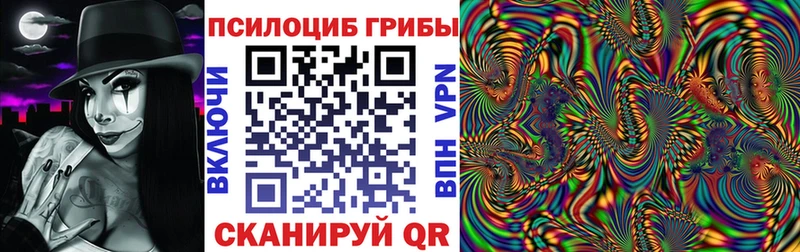 Псилоцибиновые грибы Psilocybe  Купить где  Дедовск 