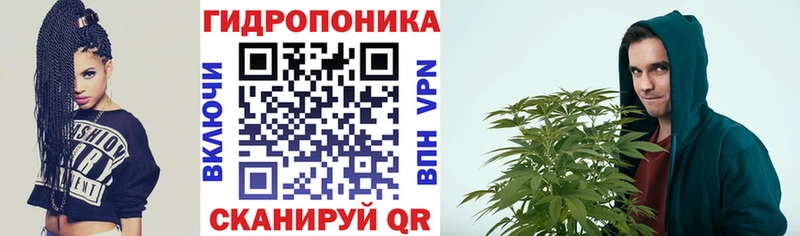 Купить где  Дедовск  Марихуана SATIVA & INDICA 